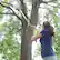 Alt View 17. Sun Joe - 120-Volt 8-Inch Electric Convertible Pole Saw (Tool Only) - Green.