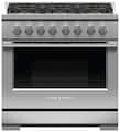 Fisher & Paykel - 36 in. Wide 6 Burner Professional 5.3 Cu.Ft. Convection Gas Range - Stainless Steel