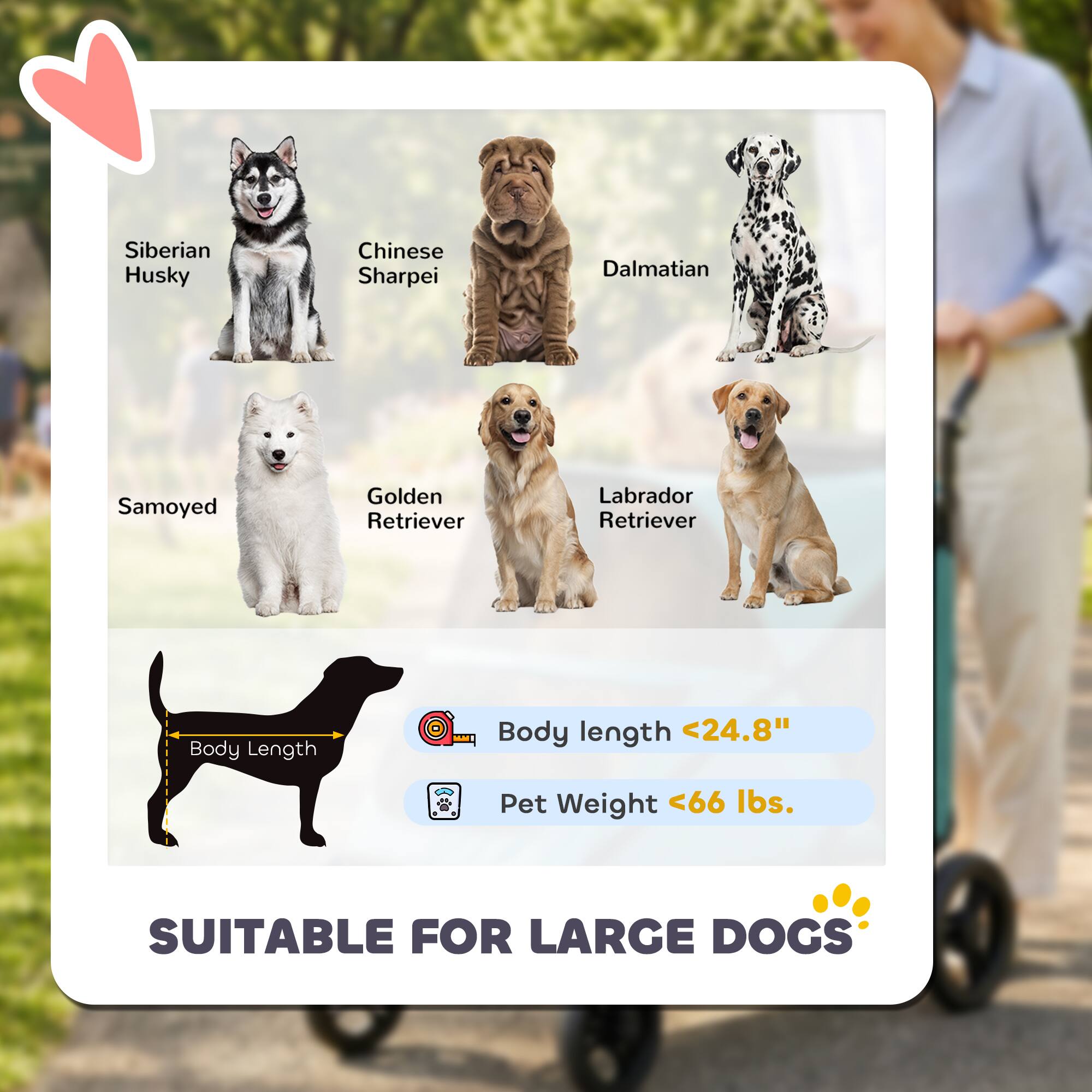 Siberian Husky  
Chinese Sharpei  
Dalmatian  
Samoyed  
Golden Retriever  
Labrador Retriever  

Body Length <24.8"  
Pet Weight <66 lbs.  

SUITABLE FOR LARGE DOGS