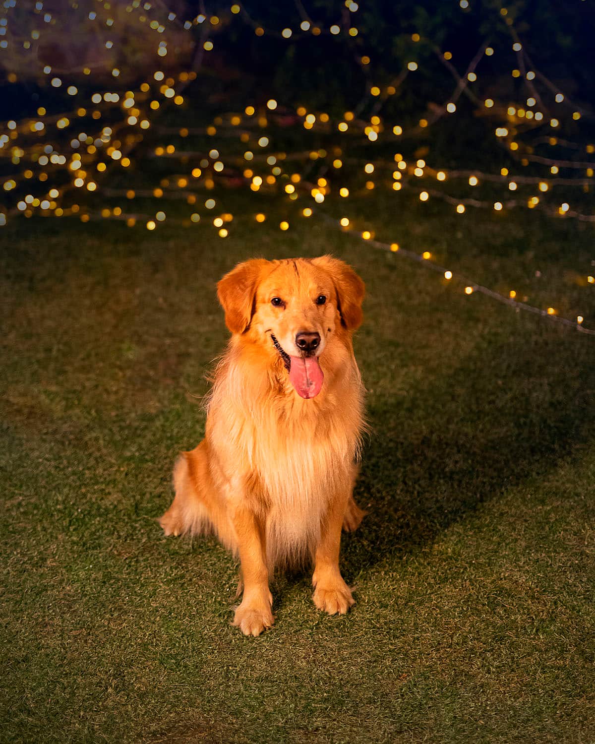 Alt View 11. eufy Security - Outdoor Cam Pro Wired 2K Spotlight Camera - White.