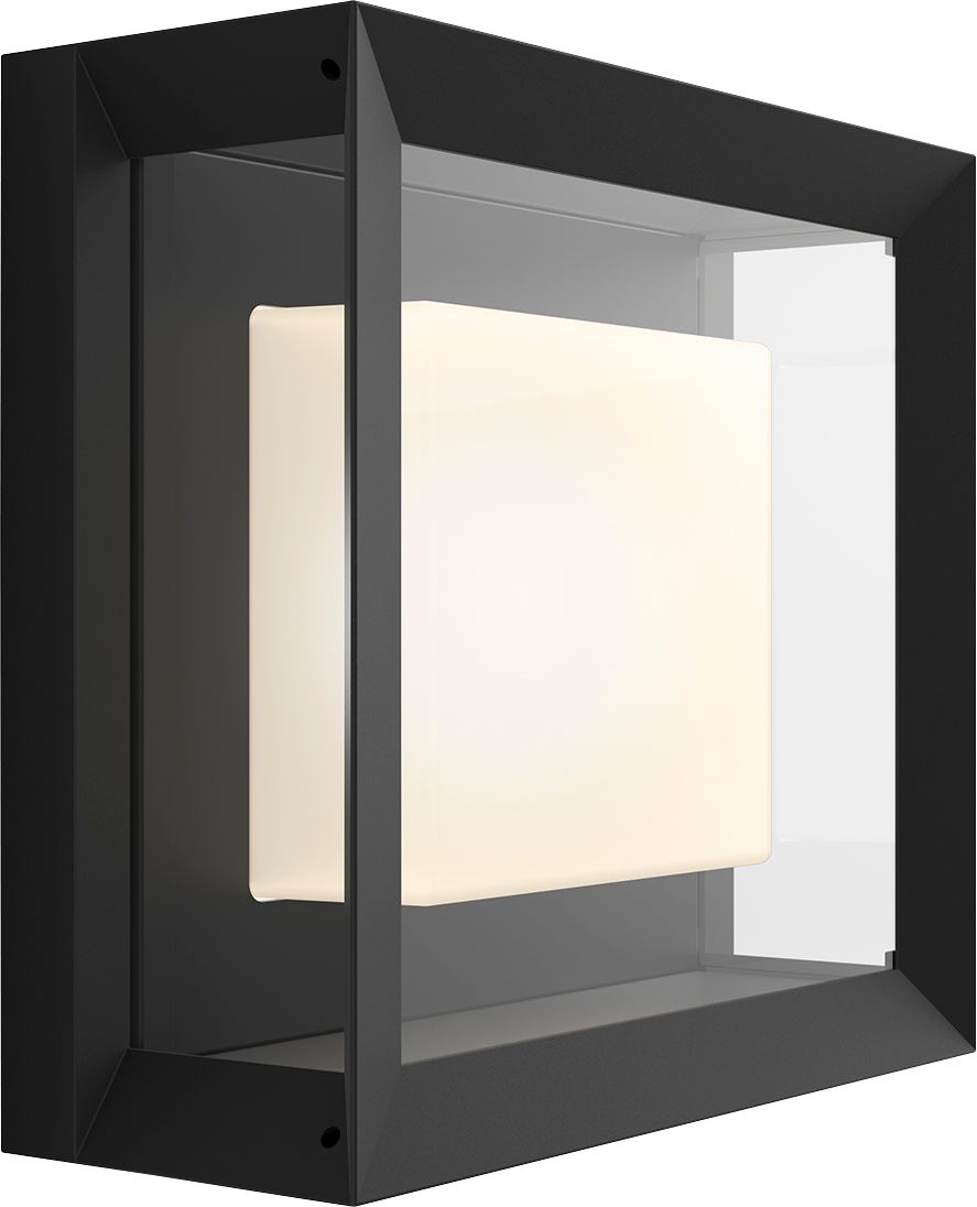 White and Color Ambiance Econic Outdoor and Ceiling Light Black - Best Buy