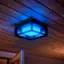 Alt View 11. Philips - Hue Econic Outdoor Wall and Ceiling Light - White and Color Ambiance.