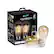 Front. Geeni - LUX ST19 Wi-Fi Smart Edison Bulb (2-Pack) - White.