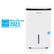 Angle. Honeywell - Energy Star 30-Pint Dehumidifier with Washable Filter - White.