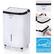 Front. Honeywell - Energy Star 30-Pint Dehumidifier with Washable Filter - White.