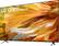 Left. LG - 86" Class 90 Series QNED Mini-LED 4K UHD Smart webOS TV - Gray.