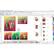 Alt View 15. Corel - CorelDraw Graphics Suite 2021 Education Edition (1-User).
