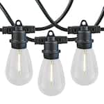 Novelty Lights - 24 Plastic LED S14 Commercial Grade Light String Set on 48' of Black Wire Shatterproof - Warm White