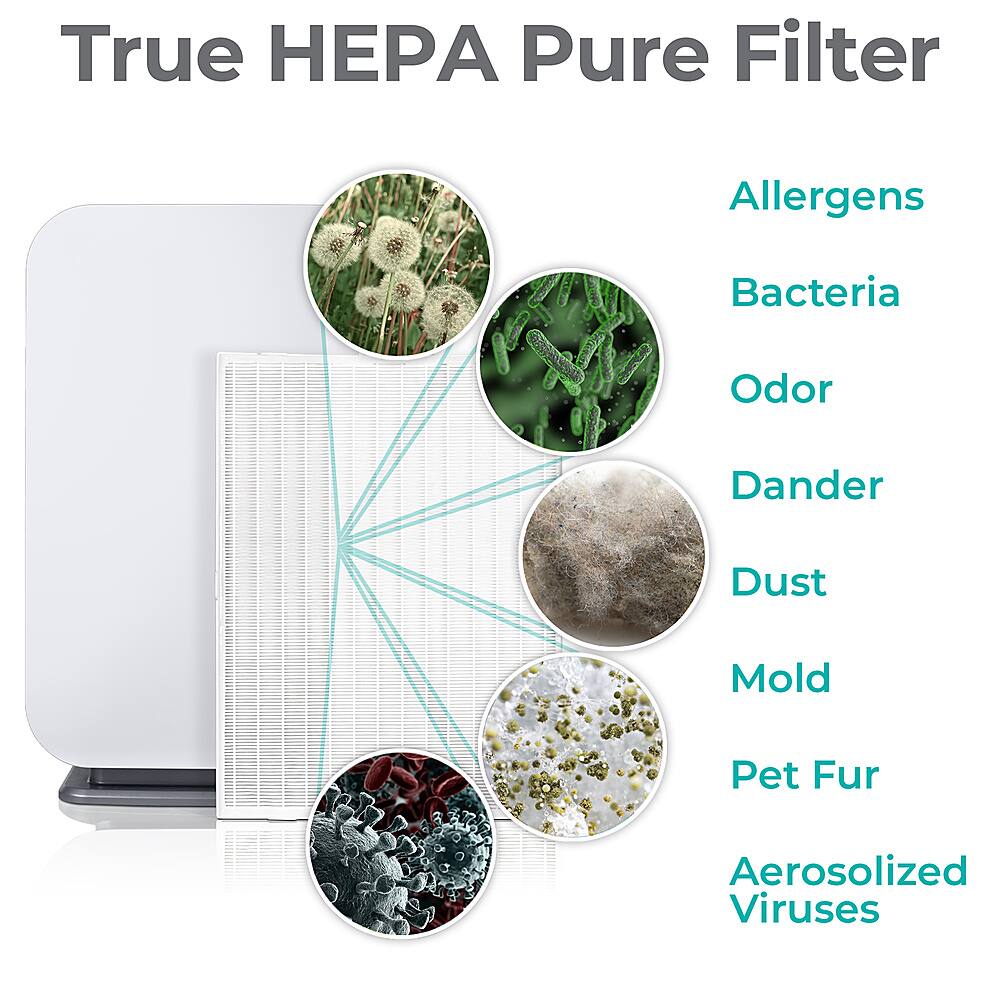True HEPA Pure Filter Allergens Bacteria Odor Dander Dust Mold Pet Fur Aerosolized Viruses