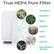 True HEPA Pure Filter Allergens Bacteria Odor Dander Dust Mold Pet Fur Aerosolized Viruses