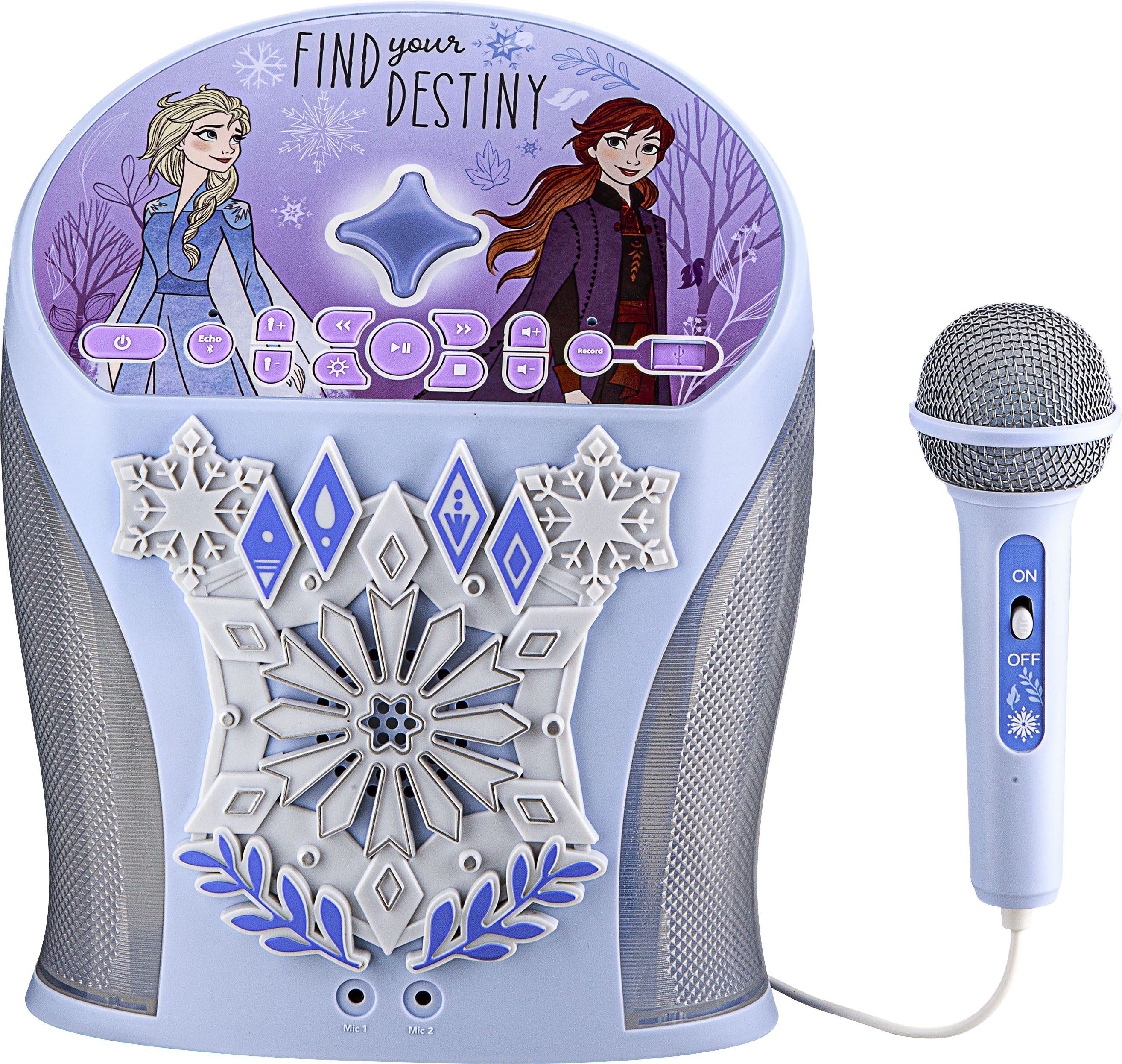 Karaoke Machine for Adults and Kids with 2 Microphones, Streams