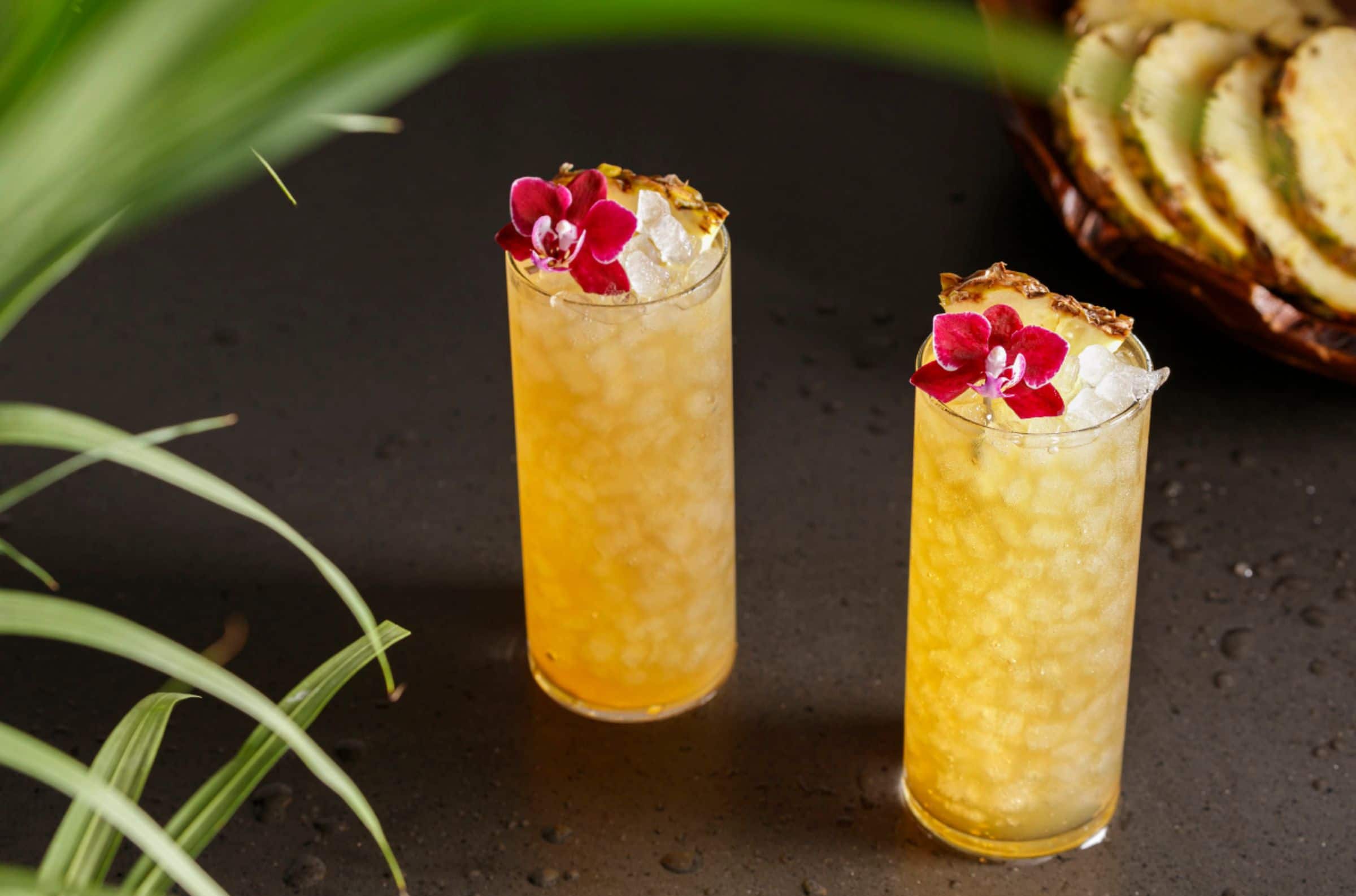 Alt View 20. GE Profile - Opal 2.0 38 lb. Portable Ice maker with Nugget Ice Production and Built-In WiFi - Black Stainless.