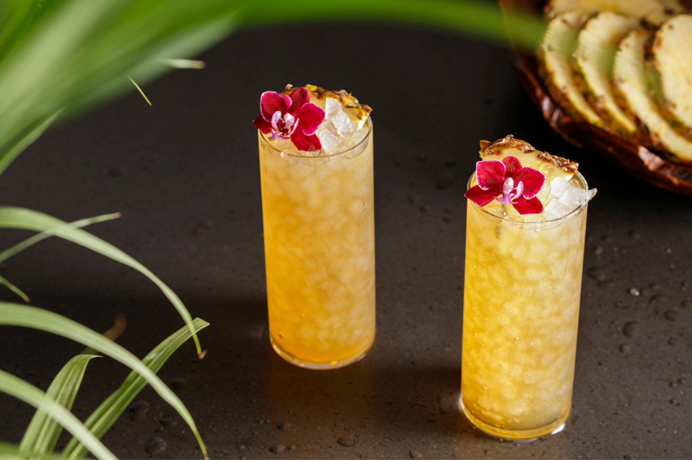 Alt View 22. GE Profile - Opal 2.0 38 lb. Portable Ice maker with Nugget Ice Production and Built-In WiFi - Stainless Steel.