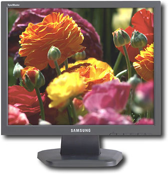 Best Buy: Samsung SyncMaster 19