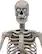 Alt View 11. Seasonal Visions International - 8ft Towering Skeleton with posable arms moving jaw.