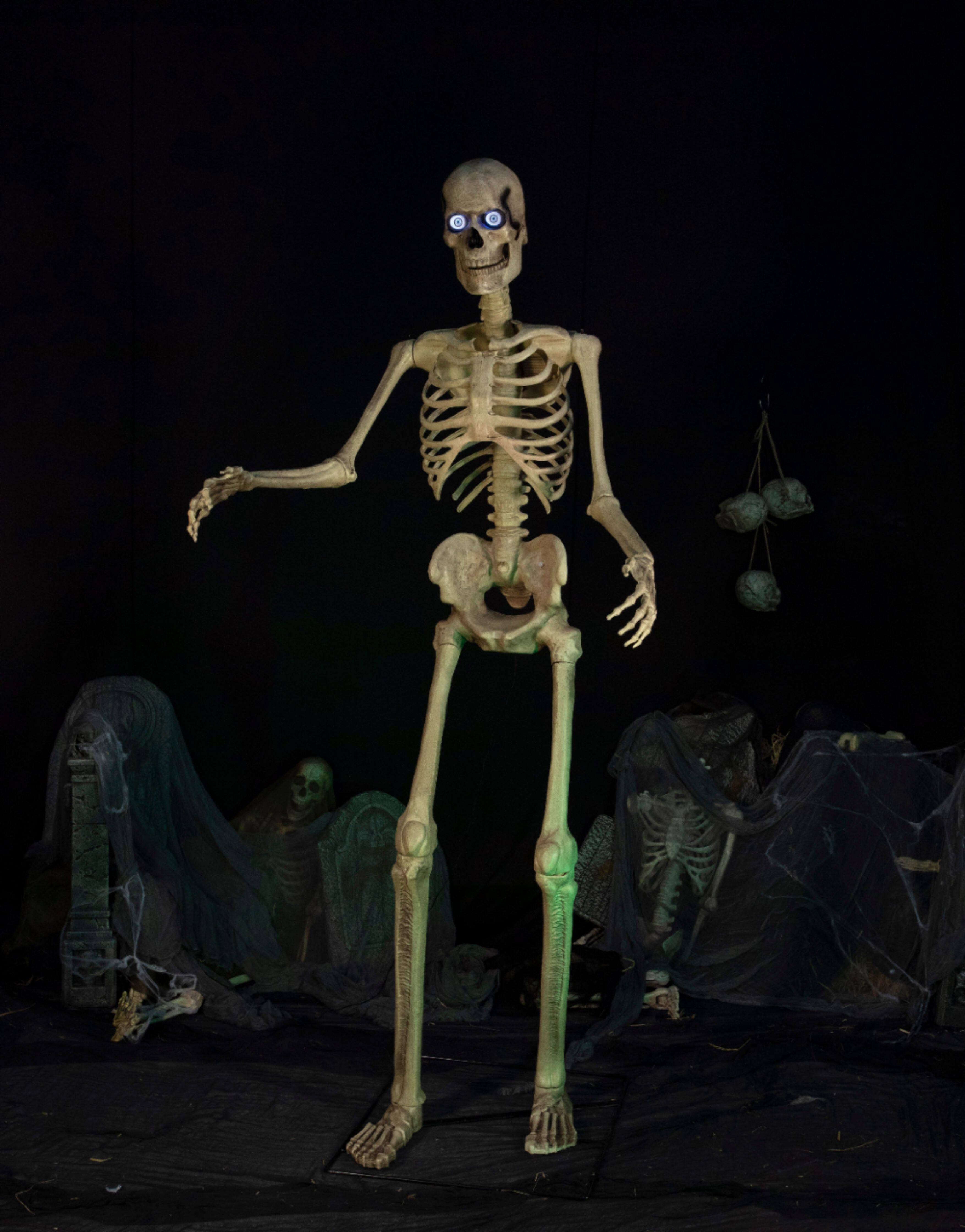Alt View 12. Seasonal Visions International - 8ft Towering Skeleton with posable arms moving jaw.