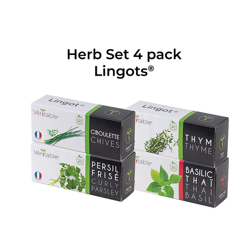 Veritable - Lingot Seed Pod - Herb 4-Pack - Brown