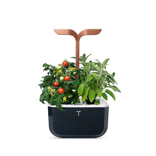 Veritable - Exky Smart Indoor Garden with 2 Grow Pods - Copper