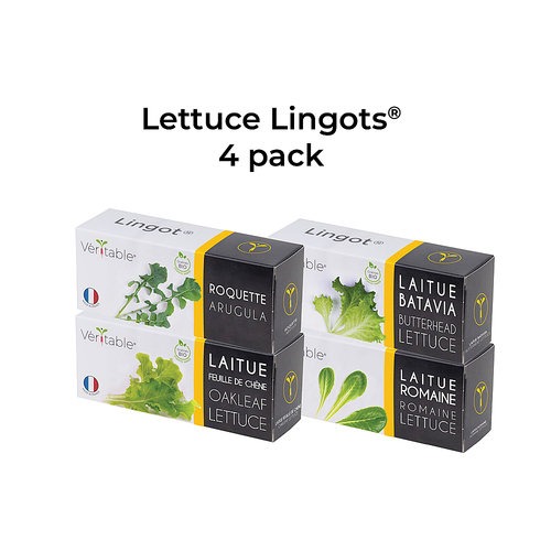 Veritable - Lingot Seed Pod - Lettuce 4-Pack - Brown