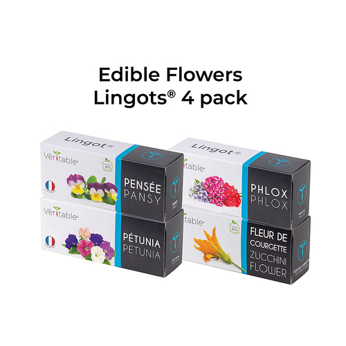 Veritable - Lingot Seed Pod - Edible Flowers 4-Pack - Brown