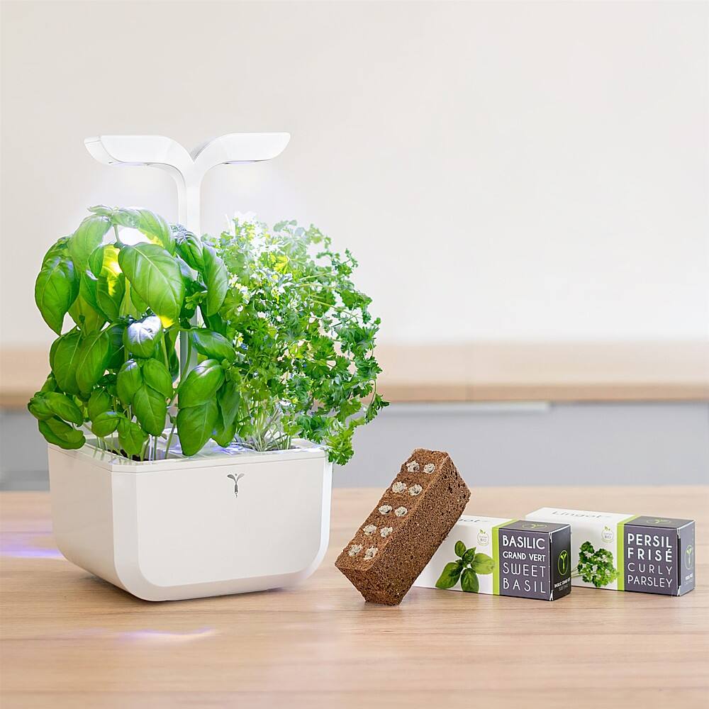 Best Buy Veritable Exky Classic Indoor Garden with 2 Grow Pods Arctic