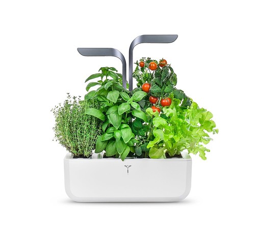 Veritable - Connect Indoor Garden with 4 Grow Pods and App Control - Infinity Gray