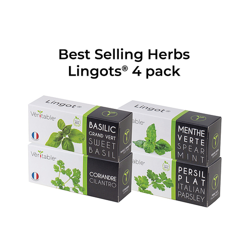 Veritable - Lingot Seed Pod - Best Seller 4-Pack - Brown