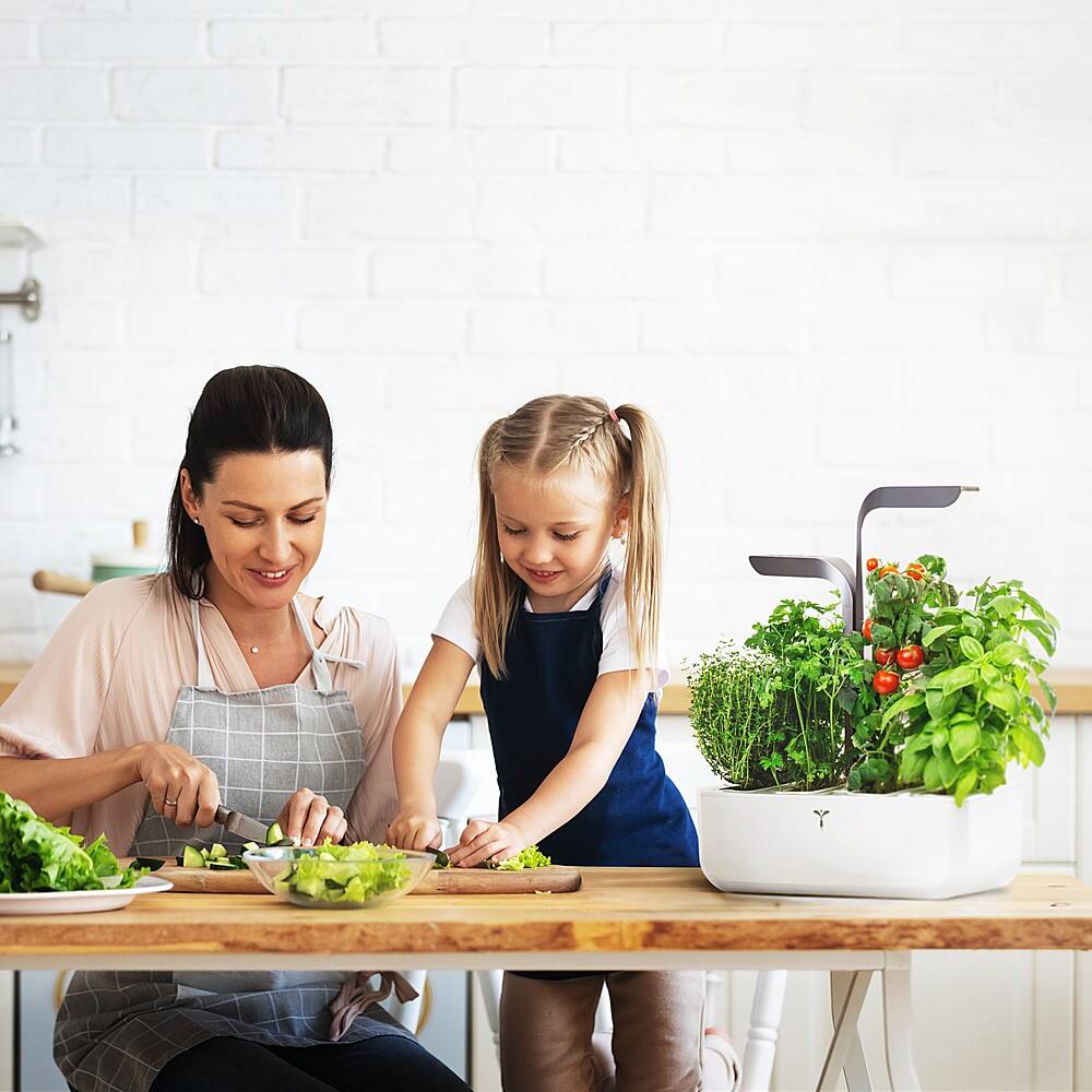 Best Buy Veritable Connect Indoor Garden with 4 Grow Pods and App