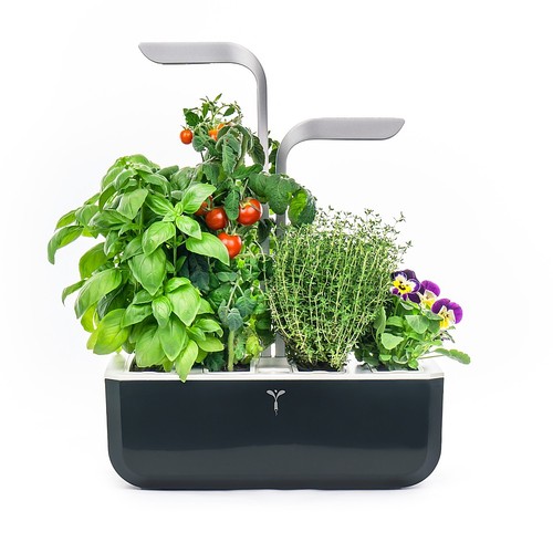 Veritable - Smart Indoor Garden with 4 Grow Pods - Soft Black