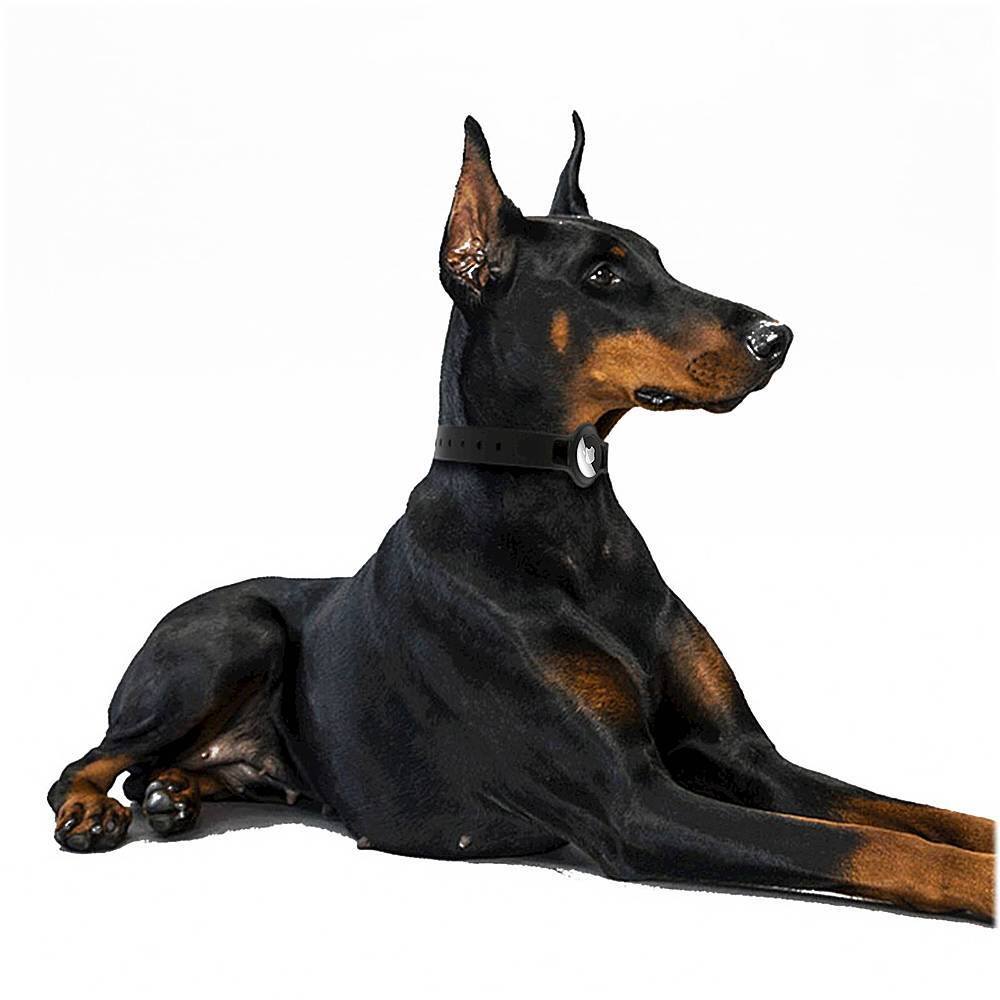 Alt View 15. SaharaCase - Silicone Dog Standard Collar with Apple AirTag slot - Black.