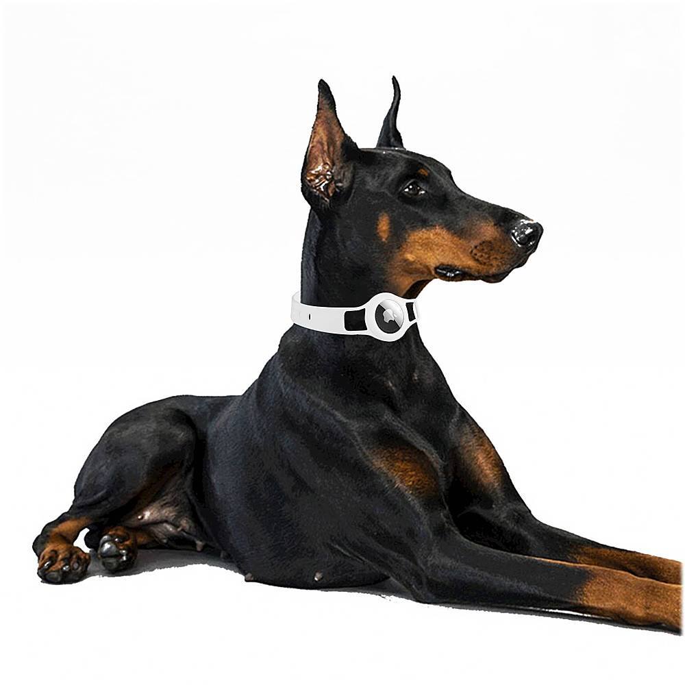 Alt View 15. SaharaCase - Silicone Dog Standard Collar with Apple AirTag slot - 10-in to 14-in Neck - White.