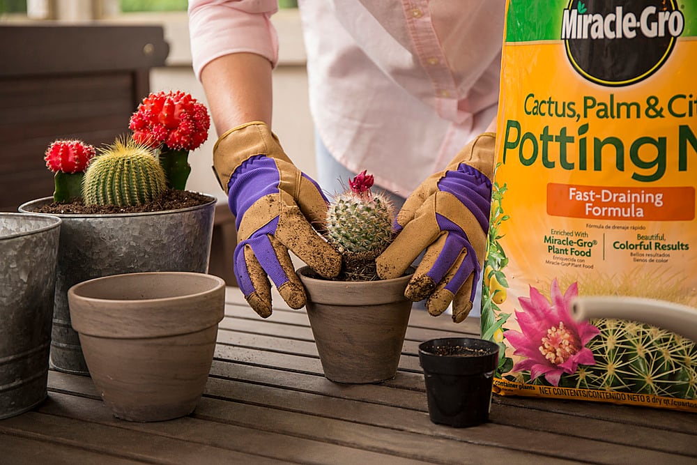 Angle View: Miracle-Gro Cactus, Palm & Citrus Potting Mix 2-Pack - Black