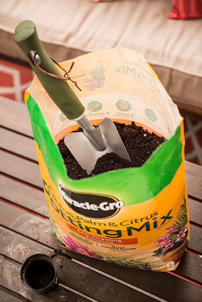 Left View: Miracle-Gro Cactus, Palm & Citrus Potting Mix 2-Pack - Black