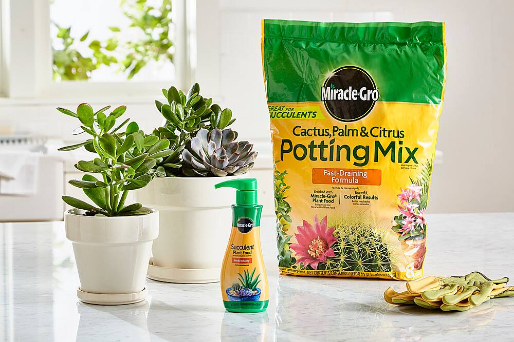 Angle View: Miracle-Gro Cactus, Palm & Citrus Potting Mix and Miracle-Gro Succulent Plant Food - Black