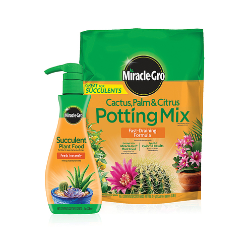 Miracle-Gro Cactus, Palm & Citrus Potting Mix and Miracle-Gro Succulent Plant Food - Black