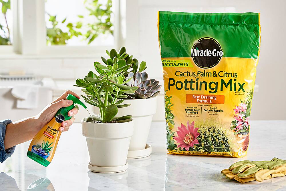 Left View: Miracle-Gro Cactus, Palm & Citrus Potting Mix and Miracle-Gro Succulent Plant Food - Black