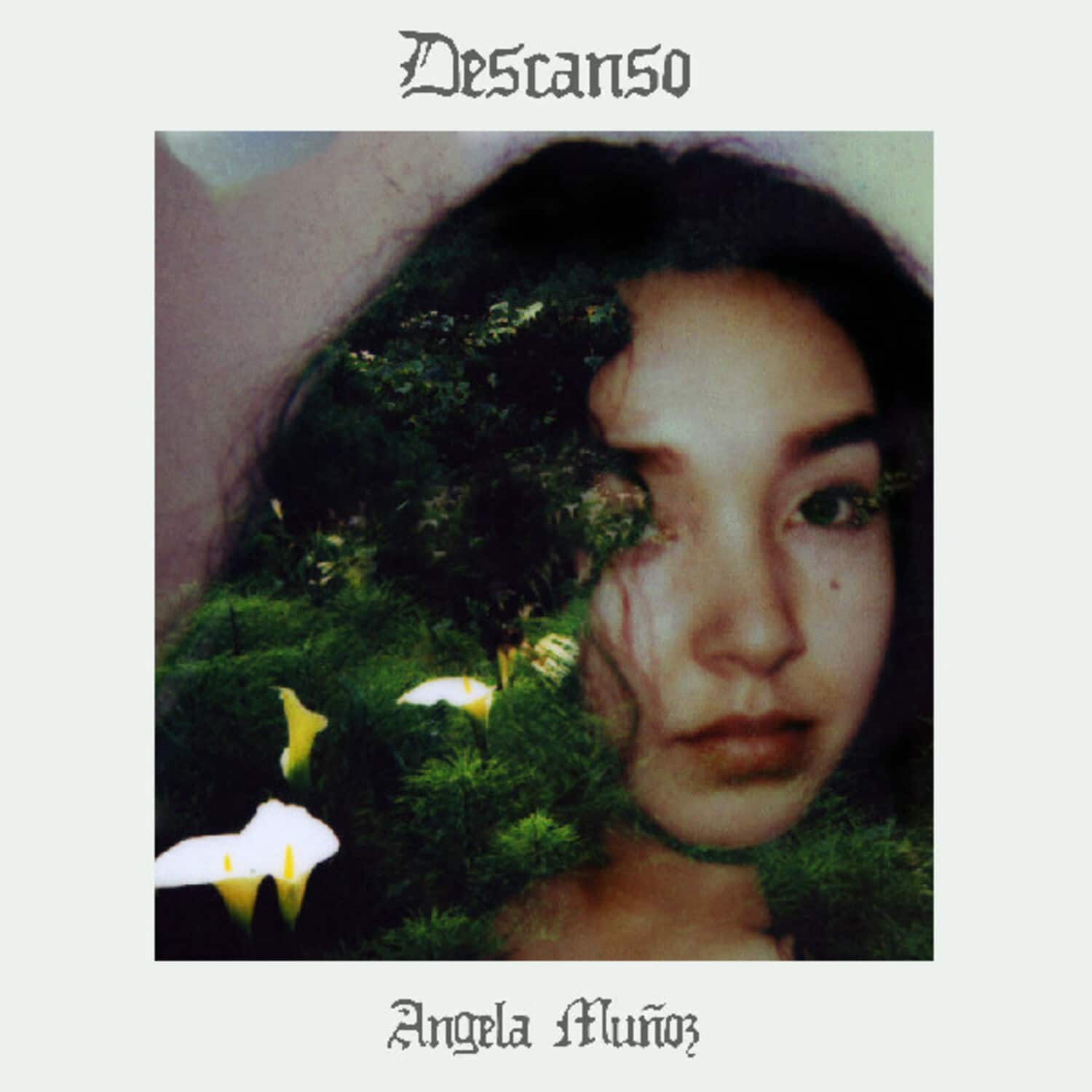 Angela Munoz - Descanso   - VINYL LP price history on PriceWatchPro