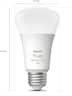 Philips - Hue 75W A19 Starter Kit - White and Color Ambiance