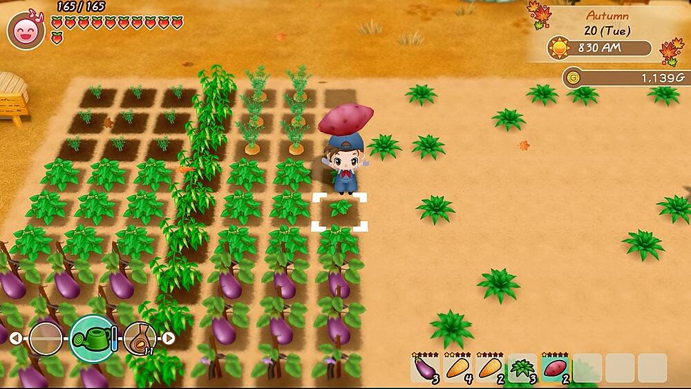 Alt View 13. XSEED Games - Story of Seasons: Friends of Mineral Town.