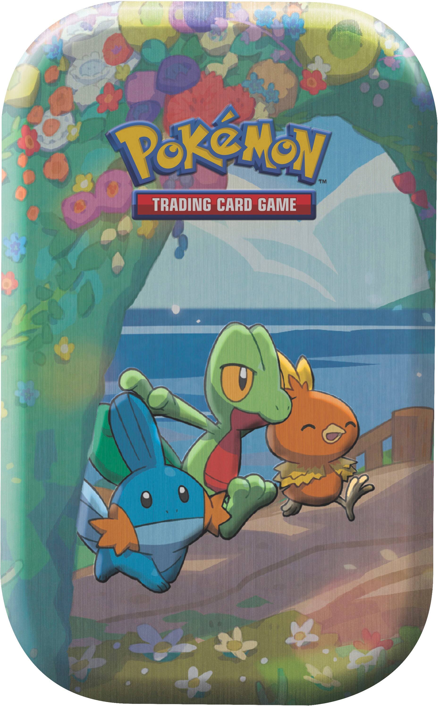 Pokémon Trading Card Game: Eevee Evolutions Tin Styles May Vary 82905 -  Best Buy