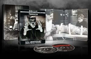 Frankenstein [SteelBook] [Includes Digital Copy] [4K Ultra HD Blu-ray/Blu-ray] [1931] - Front_Zoom