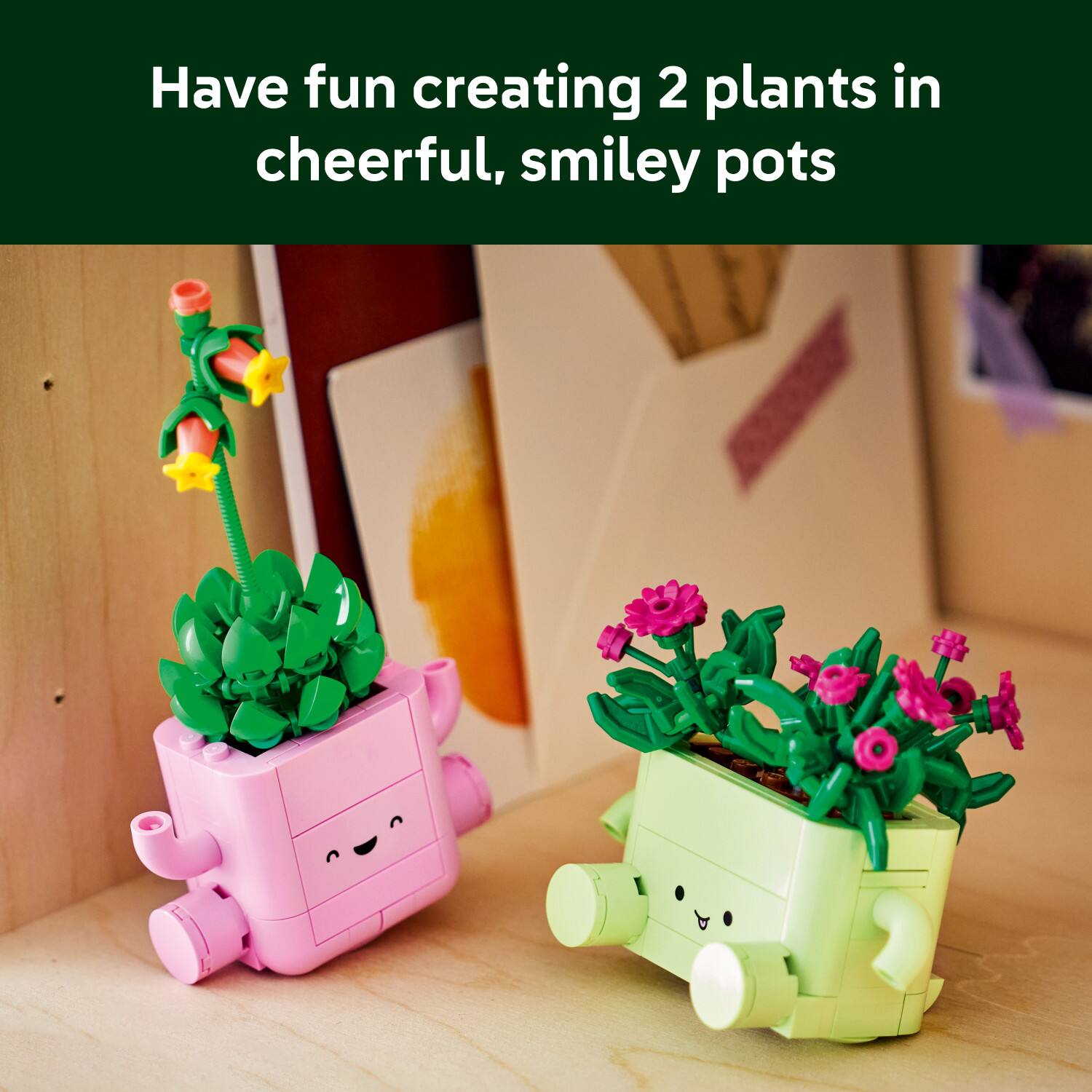 Have fun creating 2 plants in cheerful, smiley pots