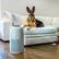 Alt View 12. Instant - HEPA Air Purifier for Large Rooms Removes 99.9% of Dust, Smoke, & Pollen with Plasma Ion Technology - Pearl.