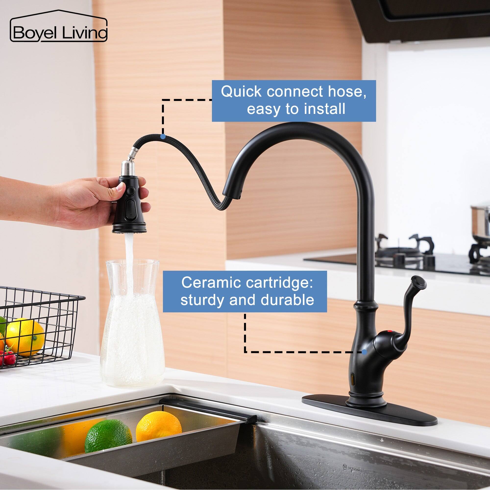 Boyel Livind, Quick connect hose, easy to install, Ceramic cartridge: sturdy and durable