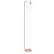 Angle. Simple Designs - Modern Iron Lantern Floor Lamp with Glass Shade - Rose Gold.