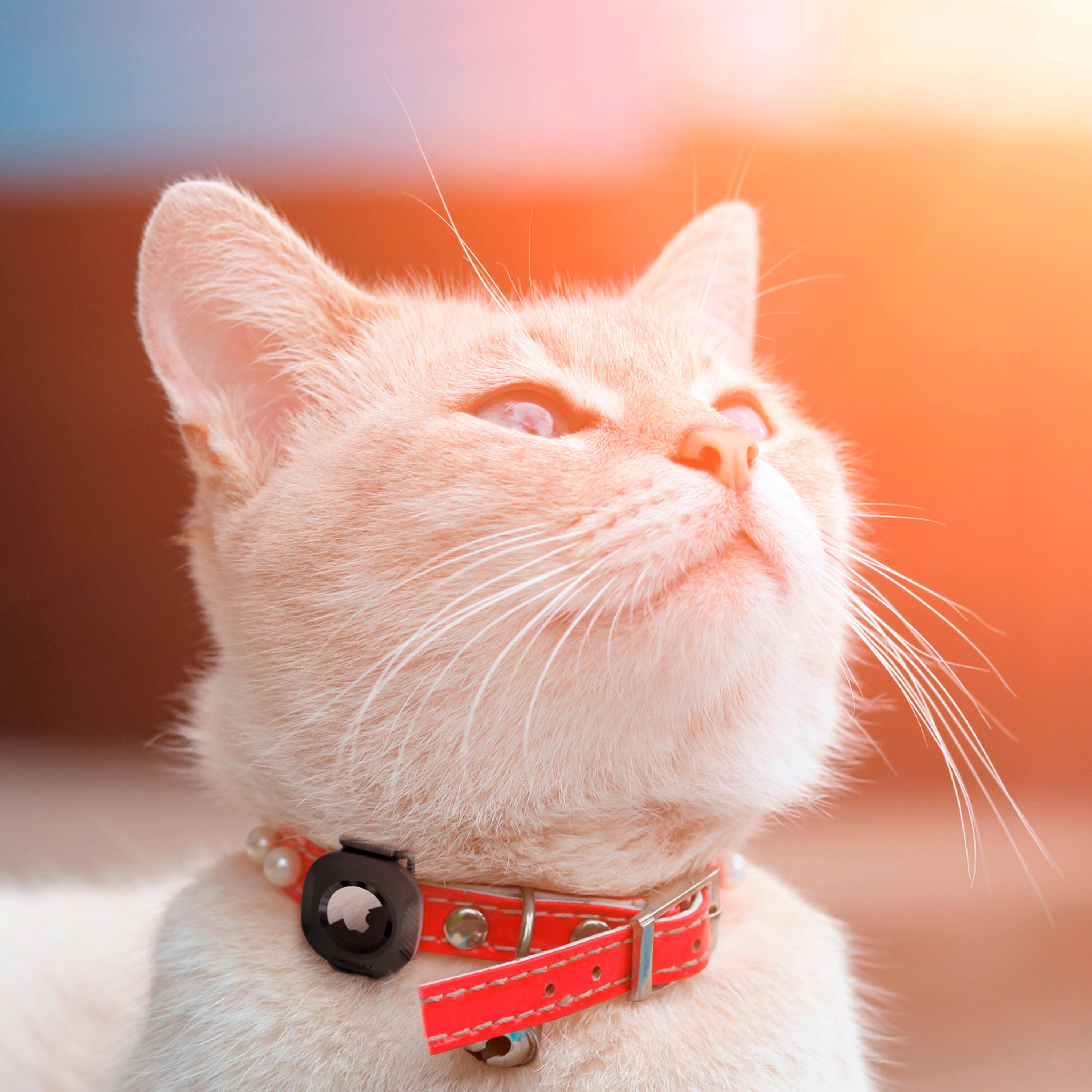 Alt View 18. Spigen - Pet Collar ComforTag for Apple AirTag - Black.