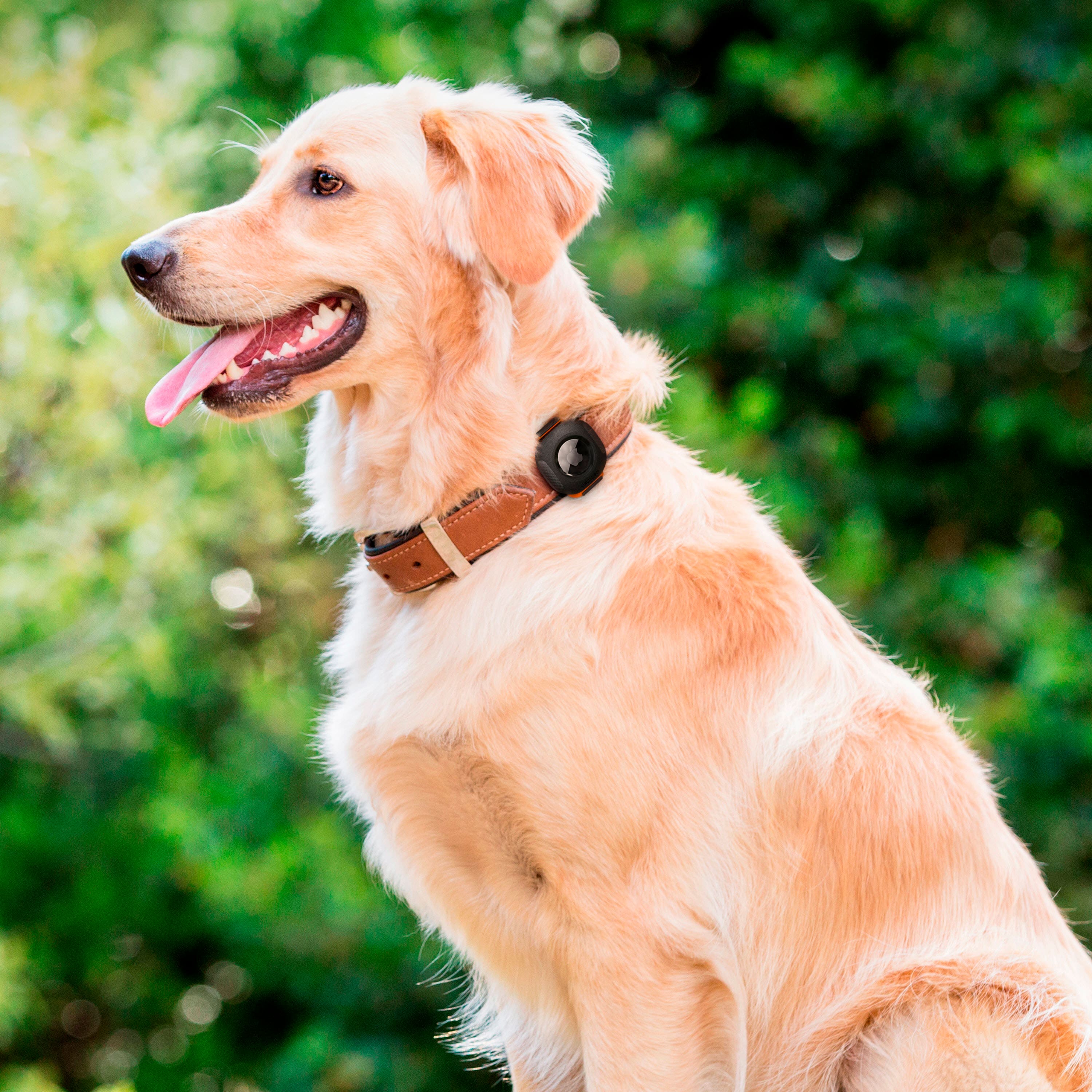 Alt View 19. Spigen - Pet Collar ComforTag for Apple AirTag - Black.