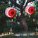 Alt View 11. Costway - 2 Pack 3 FT Halloween Inflatable Eyeballs w/ Air Blower & LED Lights - Red.