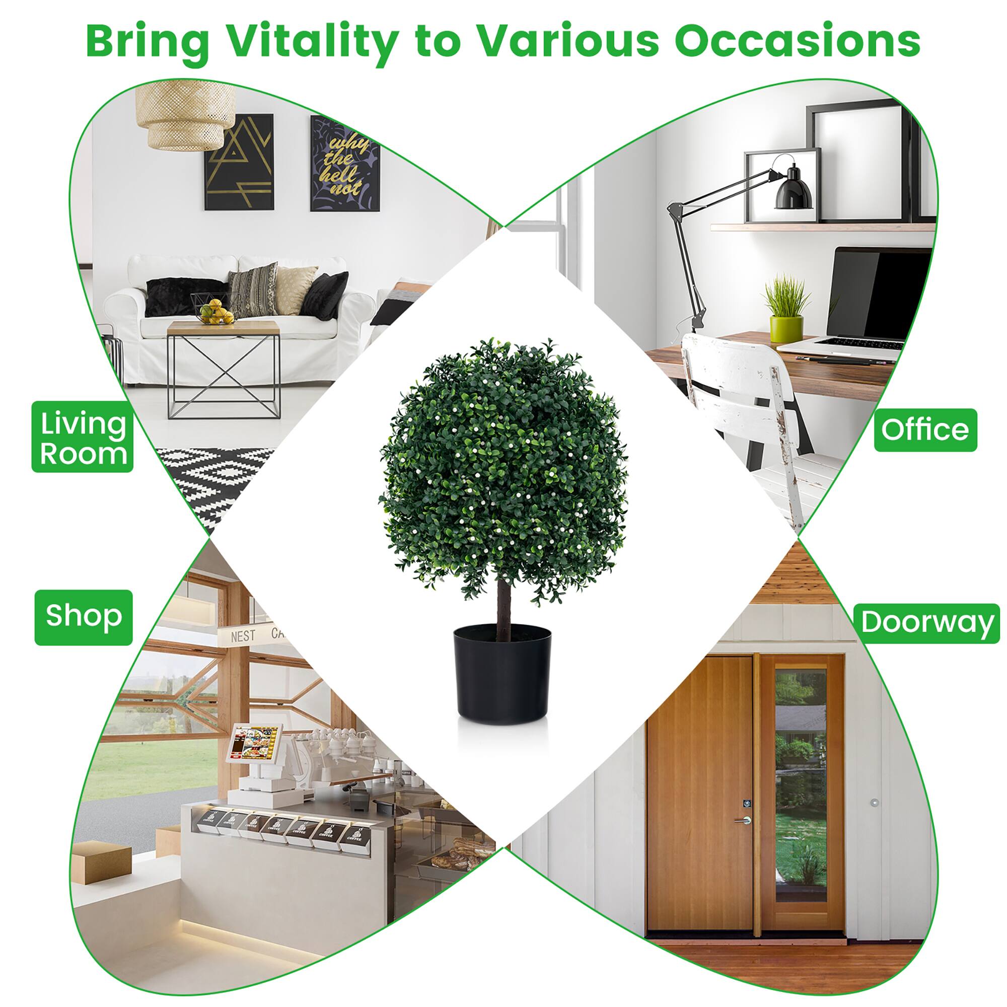 Bring Vitality to Various Occasions

Living Room

Office

Shop

Doorway