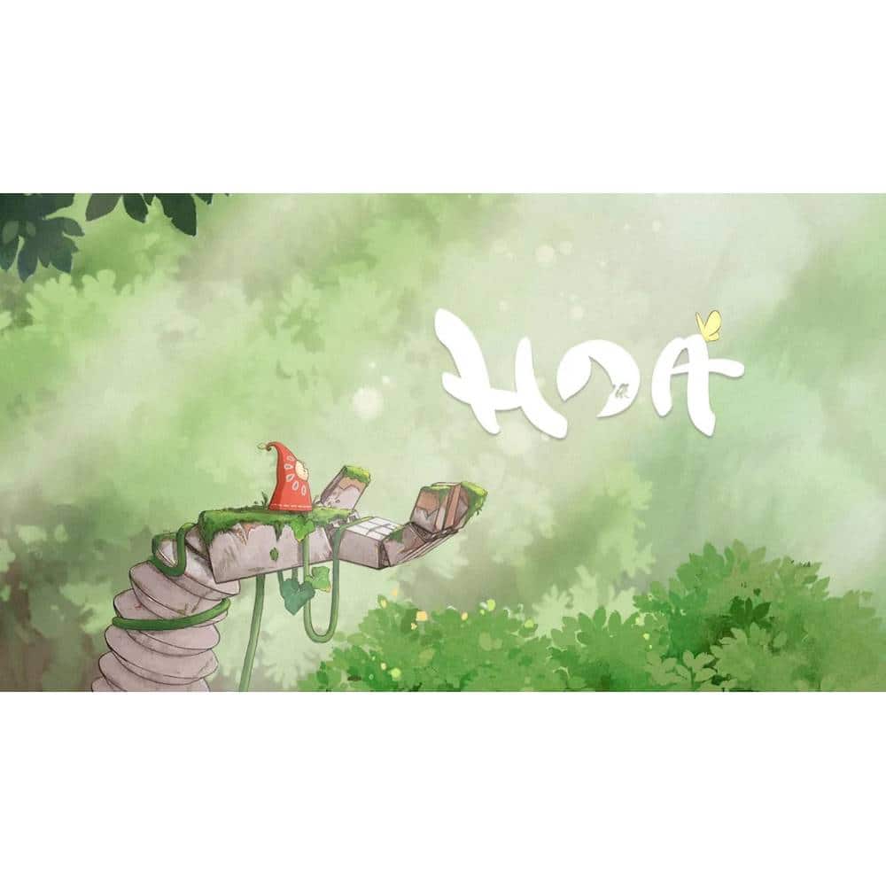 Front. Nintendo - Hoa.